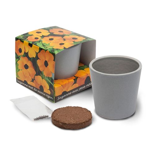 Ceramic jar with unique seeds - Image 4